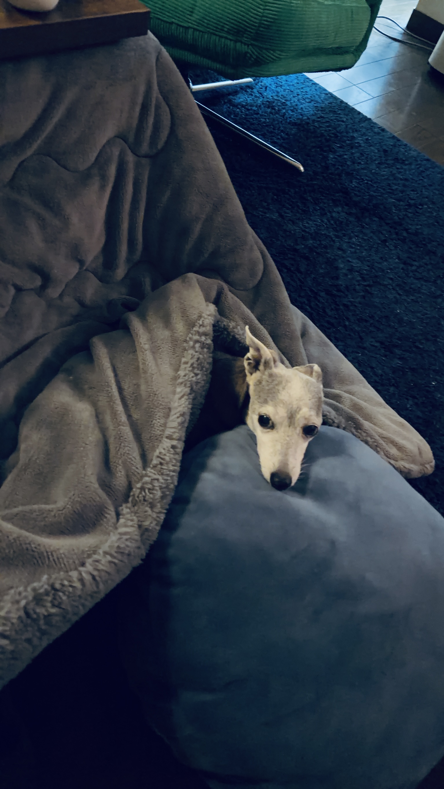 Weekend Kotatu Engineer