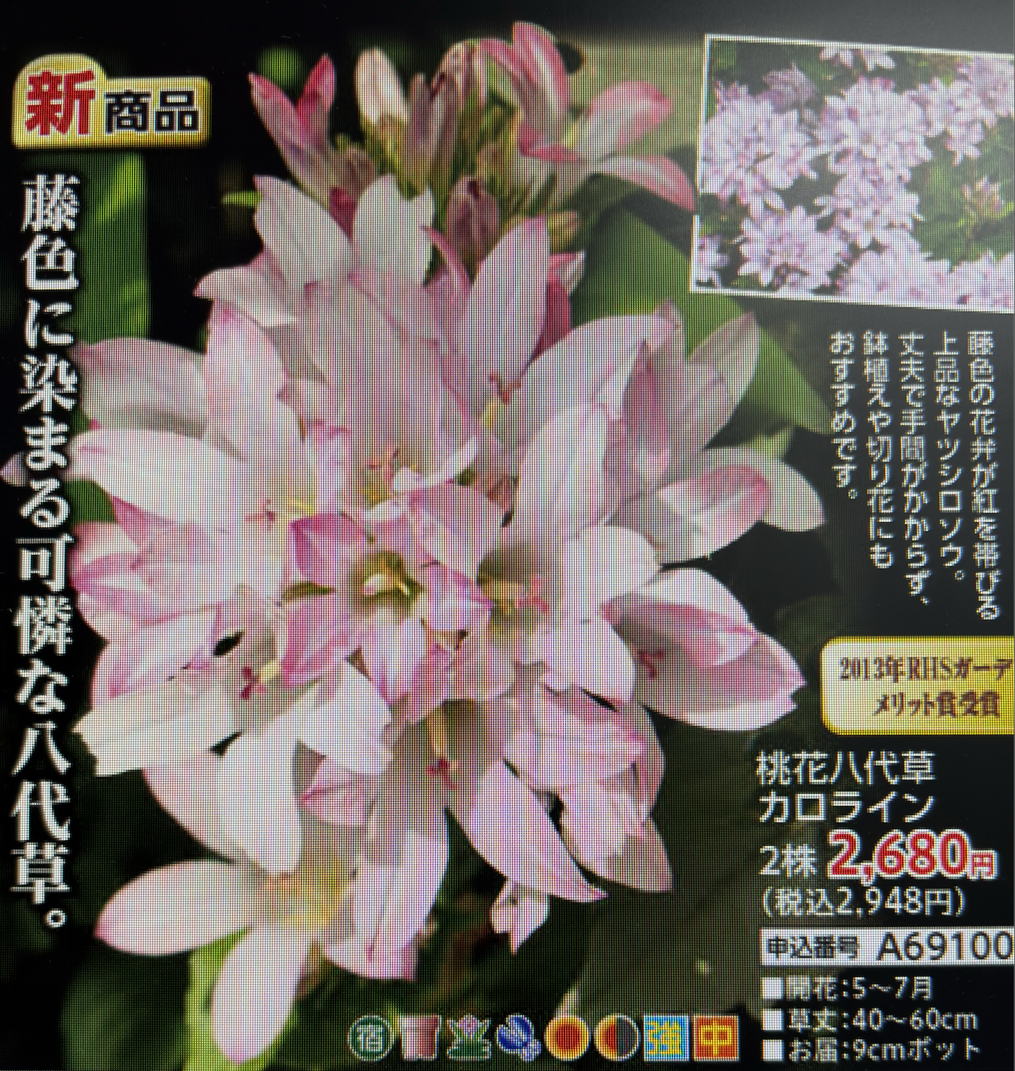 カタログ制作サンプル1