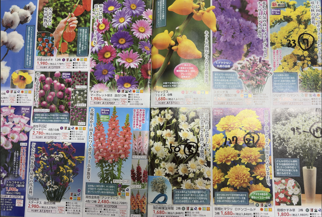 カタログ制作サンプル2