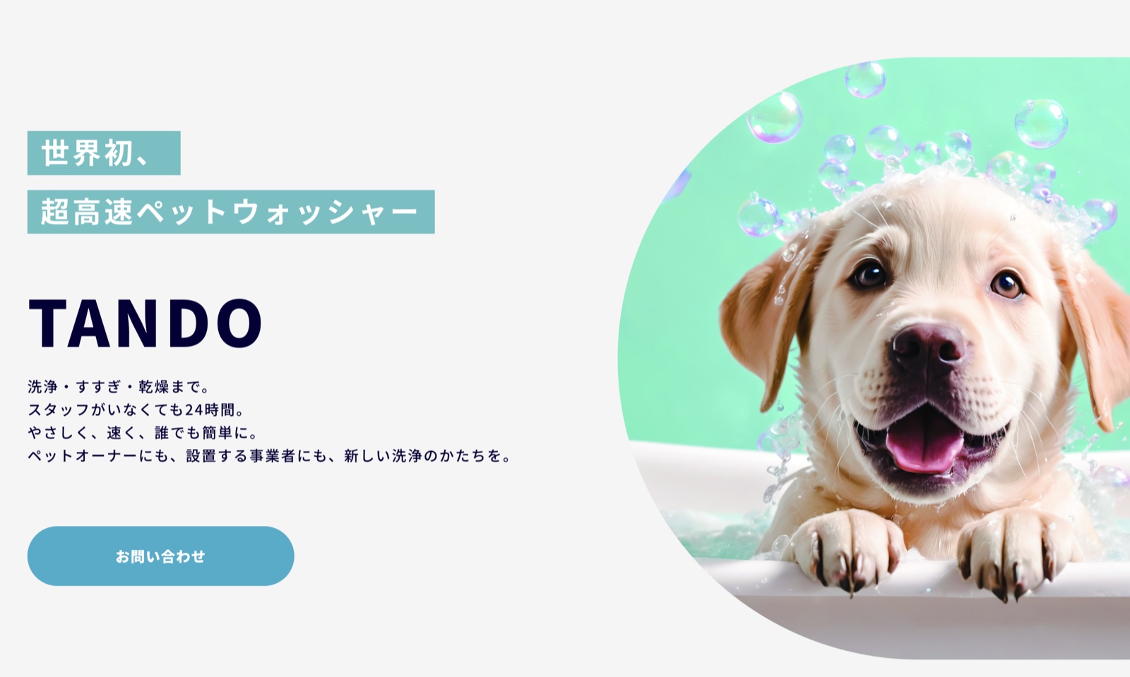 TANDO様 サイト修正・改善